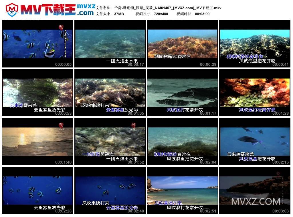 千荷-珊瑚颂_国语_民歌_NAI01457